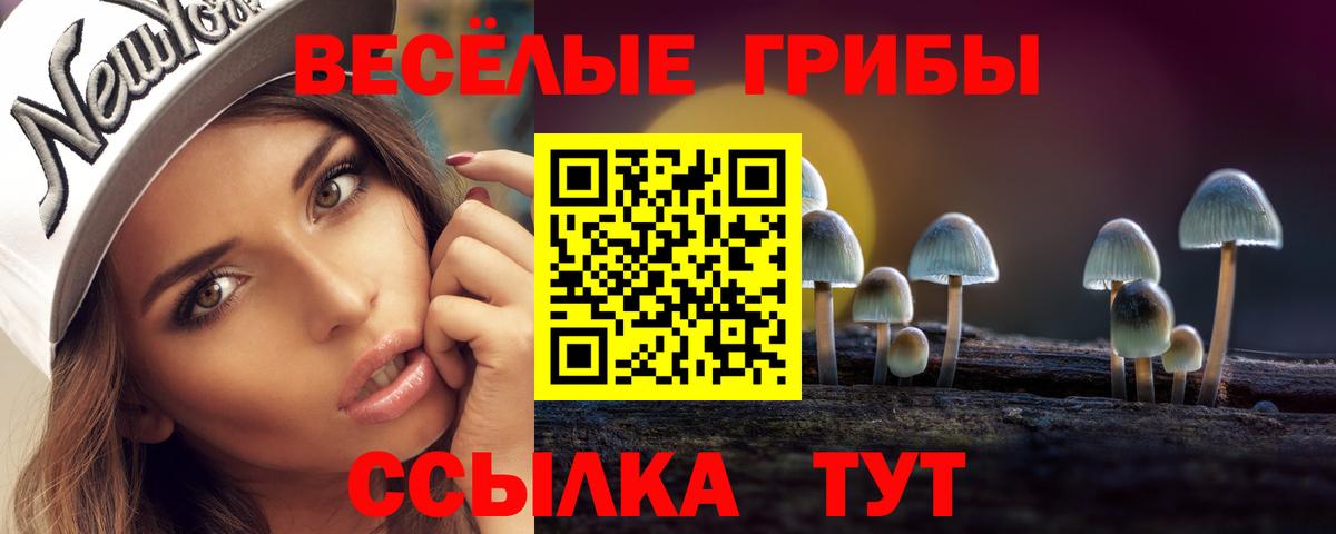 Галлюциногенные грибы GOLDEN TEACHER  Вход с VPN  Новороссийск 